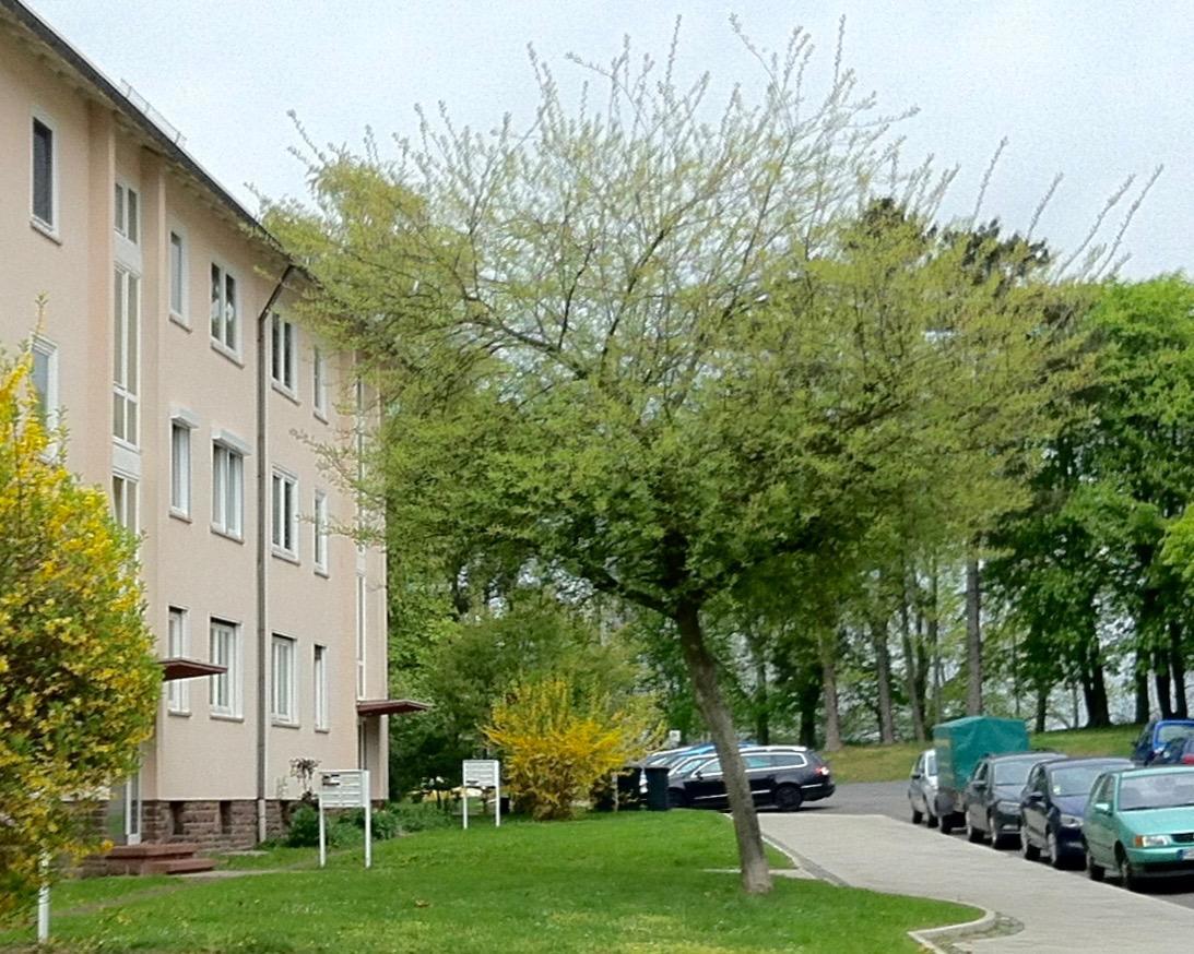 Ask Rooms Privatzimmer In Kassel Ngoại thất bức ảnh